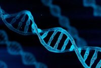 Ilustrasi bentuk DNA dalam tubuh manusia, (Foto: int)