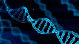 Ilustrasi bentuk DNA dalam tubuh manusia, (Foto: int)