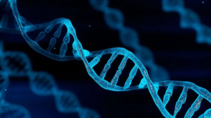 Ilustrasi bentuk DNA dalam tubuh manusia, (Foto: int)