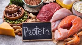 Gambar makanan berprotein, (Foto: Int.)
