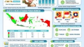 Karya infografis Yusran dan Suci dalam lomba gebyar statistika IV, (Foto: Int.)