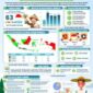 Karya infografis Yusran dan Suci dalam lomba gebyar statistika IV, (Foto: Int.)