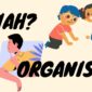 Foto ilustrasi menyeimbangkan kuliah dan organisasi (Foto:Int.)