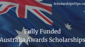 Cover laman pendaftaran Beasiswa Australia Awards, (Foto: int.)