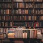 Buku perpustakaan, (Foto: Int.)