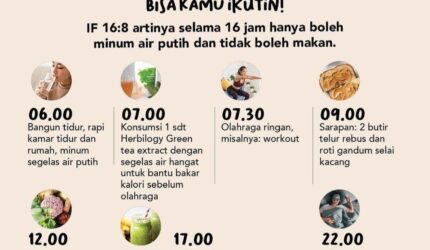 Panduan diet