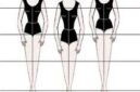 Sketsa Perbedaan Tipe Torso Manusia, (Foto: Int.)