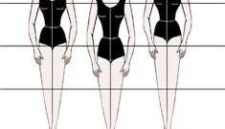 Sketsa Perbedaan Tipe Torso Manusia, (Foto: Int.)
