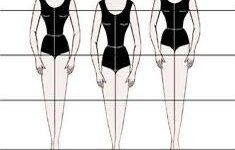 Sketsa Perbedaan Tipe Torso Manusia, (Foto: Int.)