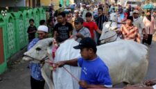 Masyarakat Melakukan Proses Penyembelihan Hewan Kurban, (Foto: Int.)