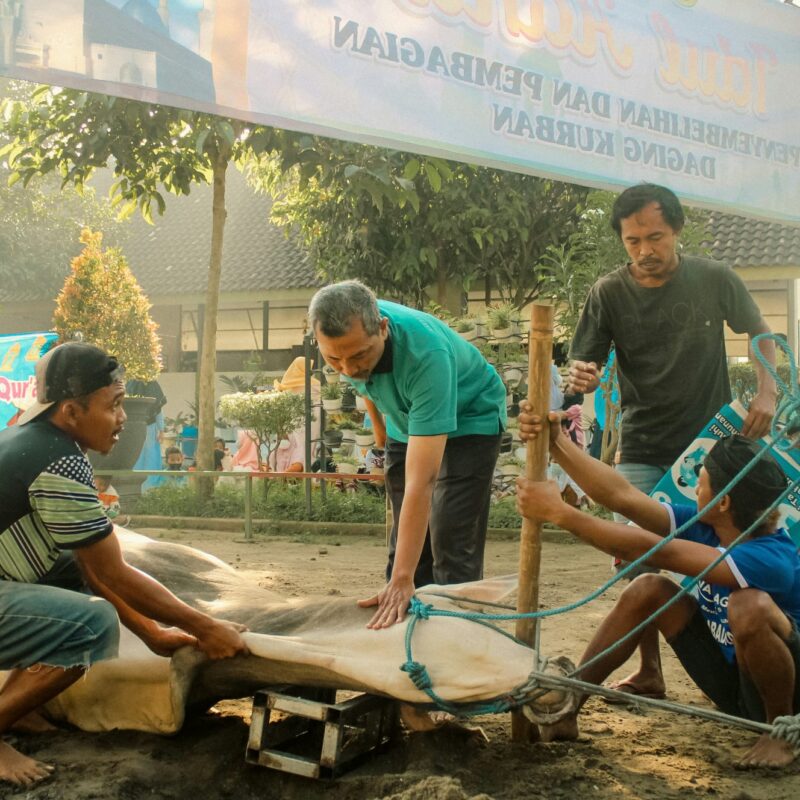 Suasana Idul Adha, (Foto: Int.)