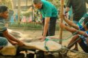 Proses penyembelihan hewan kurban di hari raya Idul Adha, (Foto: Int.)