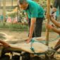 Proses penyembelihan hewan kurban di hari raya Idul Adha, (Foto: Int.)