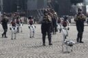 Potret robot polisi yang menjadi perbincangan akhir akhir ini, (Foto:Int.)