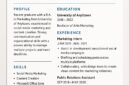 Desain CV Modern dan Professional (Foto: AI.)