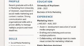 Desain CV Modern dan Professional (Foto: AI.)
