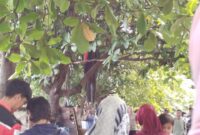 Potret penemuan jasad dosen UNM yang gantung diri, (Foto: Ist.)