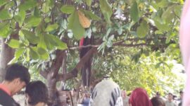 Potret penemuan jasad dosen UNM yang gantung diri, (Foto: Ist.)