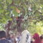 Potret penemuan jasad dosen UNM yang gantung diri, (Foto: Ist.)