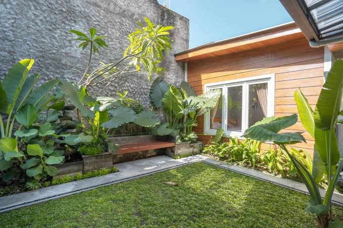 Foto Halaman indah dengan tanaman, (Foto: Int.)