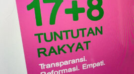 17+8 Tuntutan Rakyat yang viral di medsos dengan didominasi warna pink dan hijau. (Foto; Int)