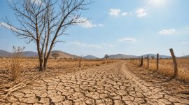 Ilustrasi Musim Kemarau, (Foto: Ai.)