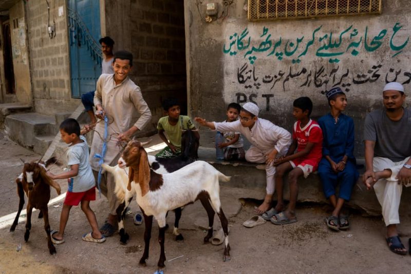 Potret Anak sedang Main Bersama Kambing, (Foto: Int.)