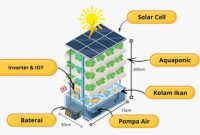 Inovasi Smart Urban Farming yang Terintegrasi dengan Teknologi Internet of Things (IoT) dan Energi Tenaga Surya, (Foto: Int.)