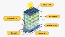 Inovasi Smart Urban Farming yang Terintegrasi dengan Teknologi Internet of Things (IoT) dan Energi Tenaga Surya, (Foto: Int.)